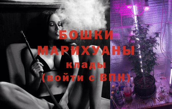 молекула духа Аркадак
