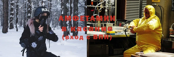 молекула духа Аркадак