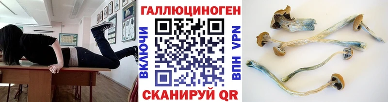 Псилоцибиновые грибы Psilocybine cubensis  наркошоп  Реж 
